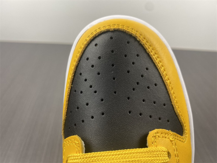 nike dunk low goldenrod (2021) - dd1391-004
