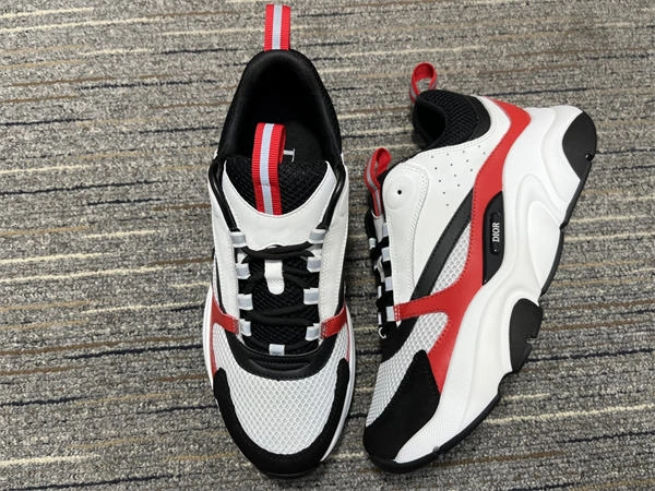 Dior B WellDesigned 1311