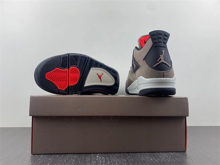 Jordan 4 Retro Taupe Haze DB0732- Bright 3856