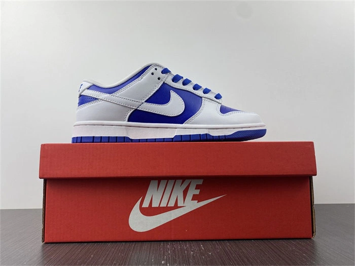 Lightweight Nike Dunk Low DD1391- 4822