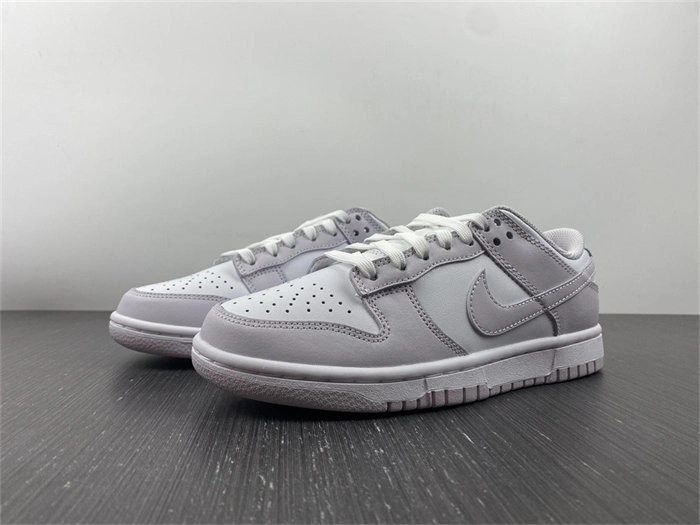 Nike Dunk Low Venice DD1503- Packable 4800