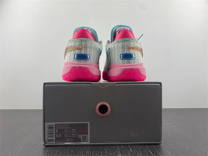 Compact Nike Lebron 20 Time Machine DJ5422- 5316